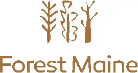 LVL - Lamine Kereste PEFC - FOREST MAINE